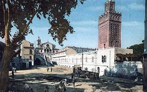 Z ORAN- DIVERS COLORISE - 15